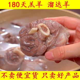 亲食派 内蒙羊小腿顺丰草原溜达羔羊腱子断骨连肉精选中段