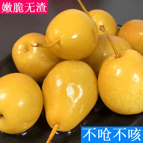 广西酸沙梨腌制酸梨水果浸沙梨酸野泡梨酸料500g/包酸辣脆口