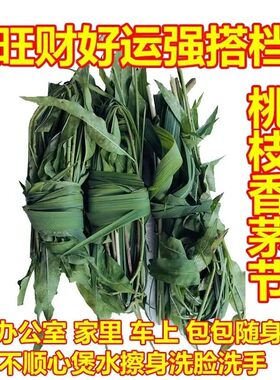 新鲜现摘思茅抹草桃枝叶柚子叶黄皮叶洗澡嗨劈邪驱蚊租房旅行需备