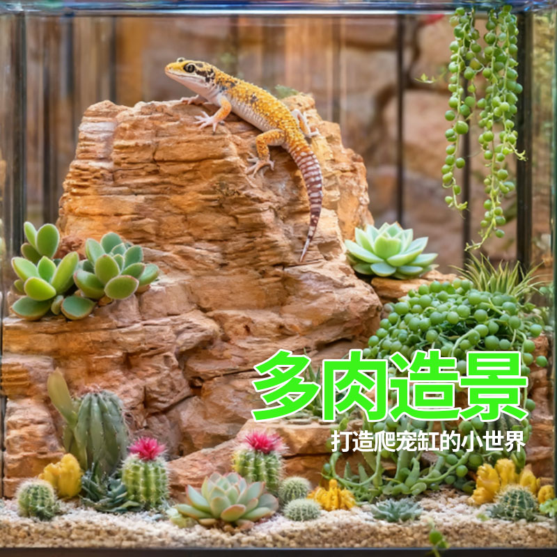 仿真多肉植物爬宠沙漠雨林缸造景用品假绿植墙装饰组合植绒逼真花