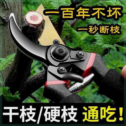德国进口精工艺园剪刀剪树枝专用剪刀修枝剪园林果树修花家用sk5