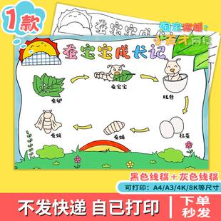 蚕的一生手抄报模板绘画蚕宝宝成长记自然笔记观察日记电子版