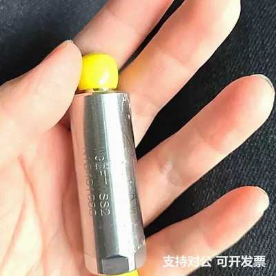 可议价-英特格Entegris WG2FT1SS2 好多