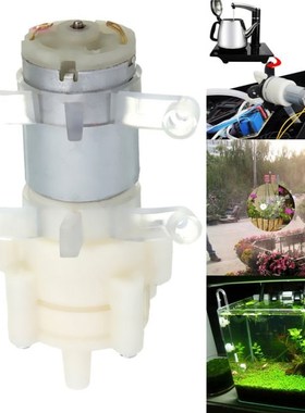 New Priming Diaphragm Mini Pump Spray Motor 12V Micro Pumps