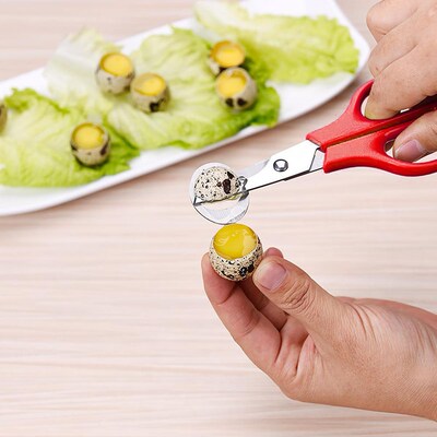 Multi-function Pigeon Quail Egg Scissors Household Stainless