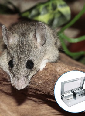 Mice Catcher Trap with Viewing Window 2pcs Mouse Traps Mice