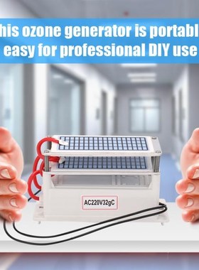 New  32g/h Portable Generator 适用于maldehyde Remove Machine