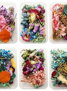 1Box Crystal Epoxy Filler Dry Flower Mixed Nail Stickers Dec