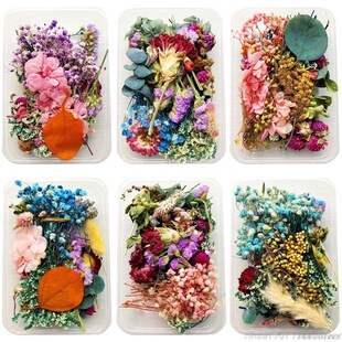 1Box Crystal Epoxy Filler Dry Flower Mixed Nail Stickers Dec