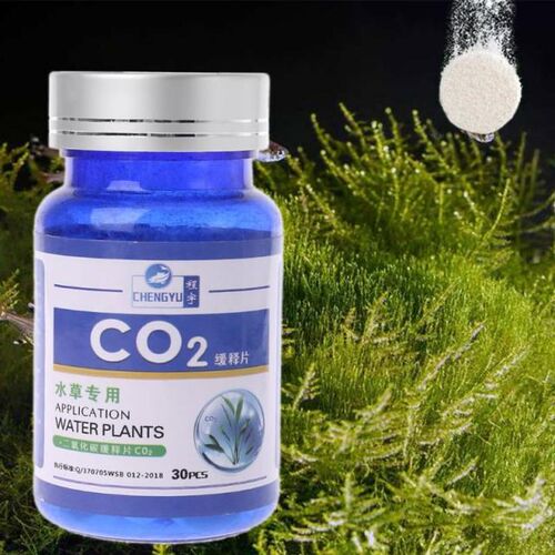 CO2 Tablet Carbon Dioxide Diffuser 适用于 Water Plant Grass