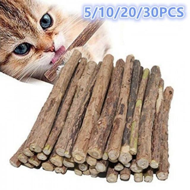 Kitten teeth grinding rod polygonum cat snack natural catnip