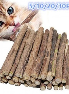 Kitten teeth grinding rod polygonum cat snack natural catnip