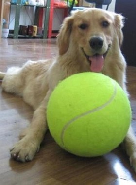 This ball is made Dog Tennis Ball Giant Pet Chew Toy Inflata