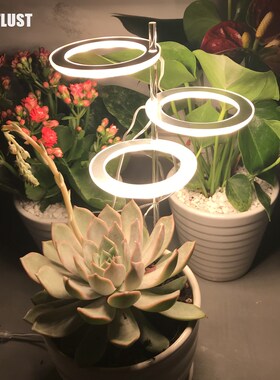 Angel Three Ring Grow Light DC5V USB Phytolamp For Plants Le