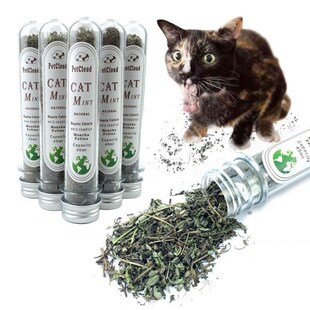 1 Pcs Organic Premium Catnip Toy Cat Mint Grass Menthol Can