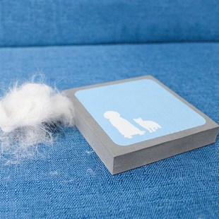 Static Electricity Cat Dog Brush Foam Sponge Comb Pet Hair R