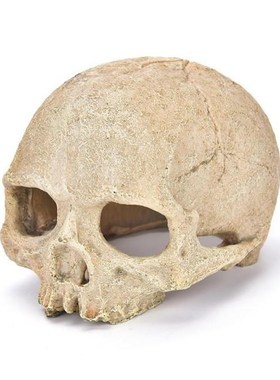 Skull Statue Resin Easter Island Head Bone For Lizards Terra