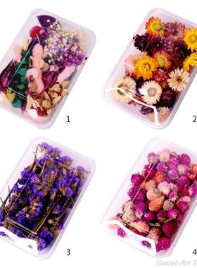 1Box Crystal Epoxy Filler Dry Flower Mixed Nail Stickers Res