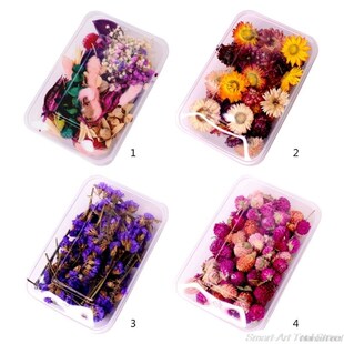 1Box Crystal Epoxy Filler Dry Flower Mixed Nail Stickers Res