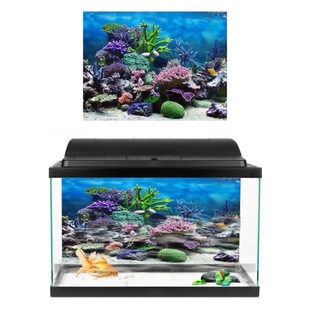 Sea Post Effect Landscape Ocean Background Fresh Aquarium