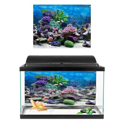 3D Effect Fresh Sea Background Aquarium Ocean Landscape Post