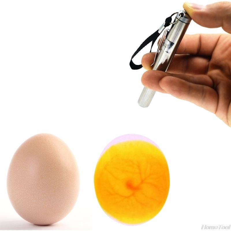 Incubator Eggtester Egg Candling Lamp LED Super Cold Equipme