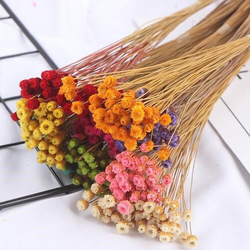 50pcs/Lots of Happy Flowers Brazil Natural Dried Flower Bouq