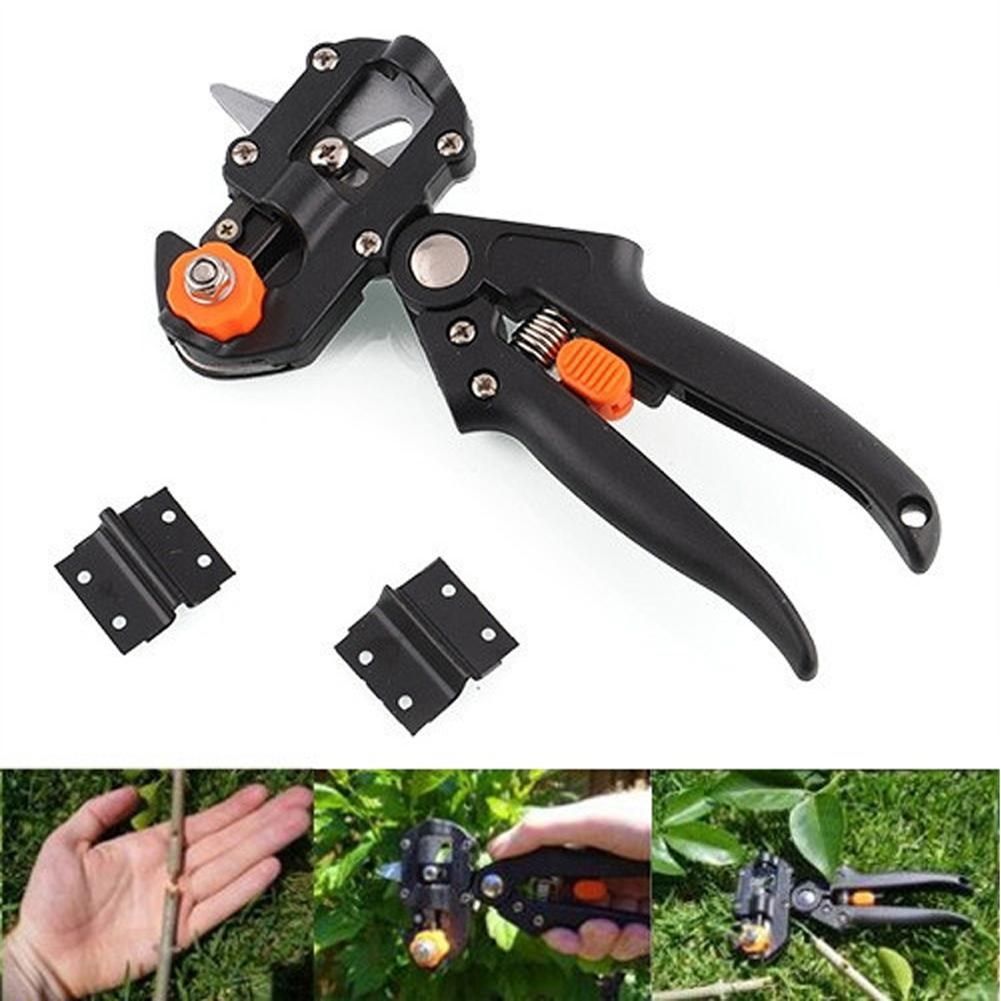 garden fruit tree pruning shears garden  grafting cutting to