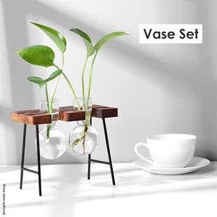 Wooden Frame Vase Creative Hydroponic Plant Transparent Glas