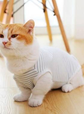 Cat Recovery Suit Sterilization Care Pet Kitten Prevent Lick