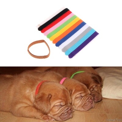 12Pcs Pets Puppy Collars Different Colors Soft Identificatio