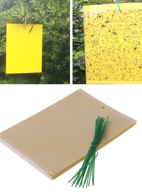 20Pcs Dual-Sided Yellow Sticky Traps 适用于 Flying Plant Ins