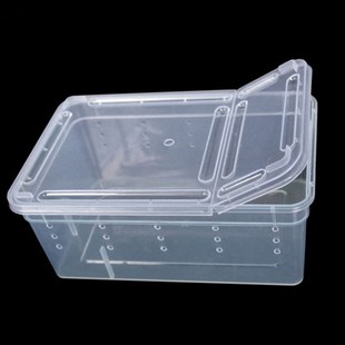 Transparent Plastic Box Insect Reptile Transport Breeding Li
