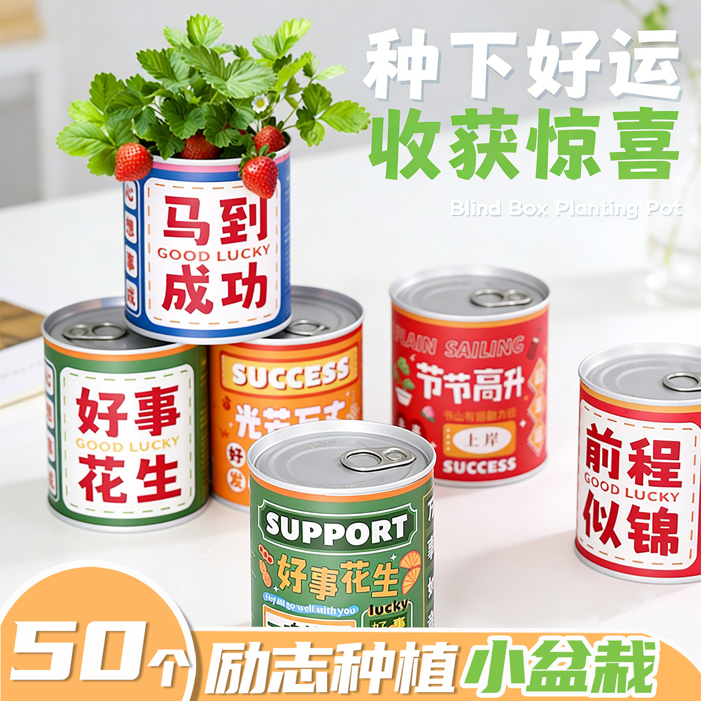 易拉罐植物盆栽种植种子花盲盒迷你奖品罐装学生儿童节小礼物H