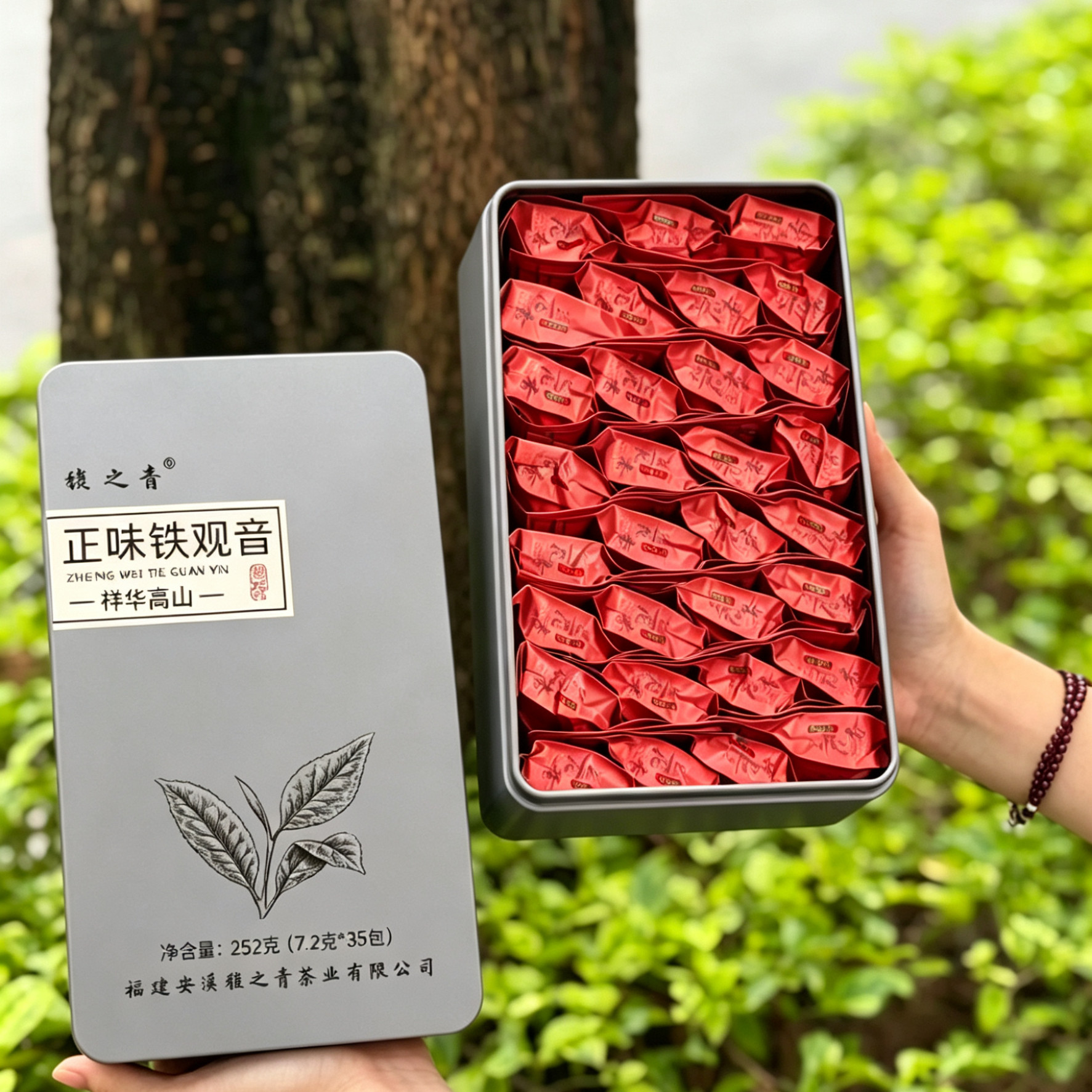 浓香型春茶兰花香铁观音清香茶