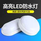 高亮LED防水灯椭圆圆形应急灯厂家直供便携式 照明20瓦15过道壁灯