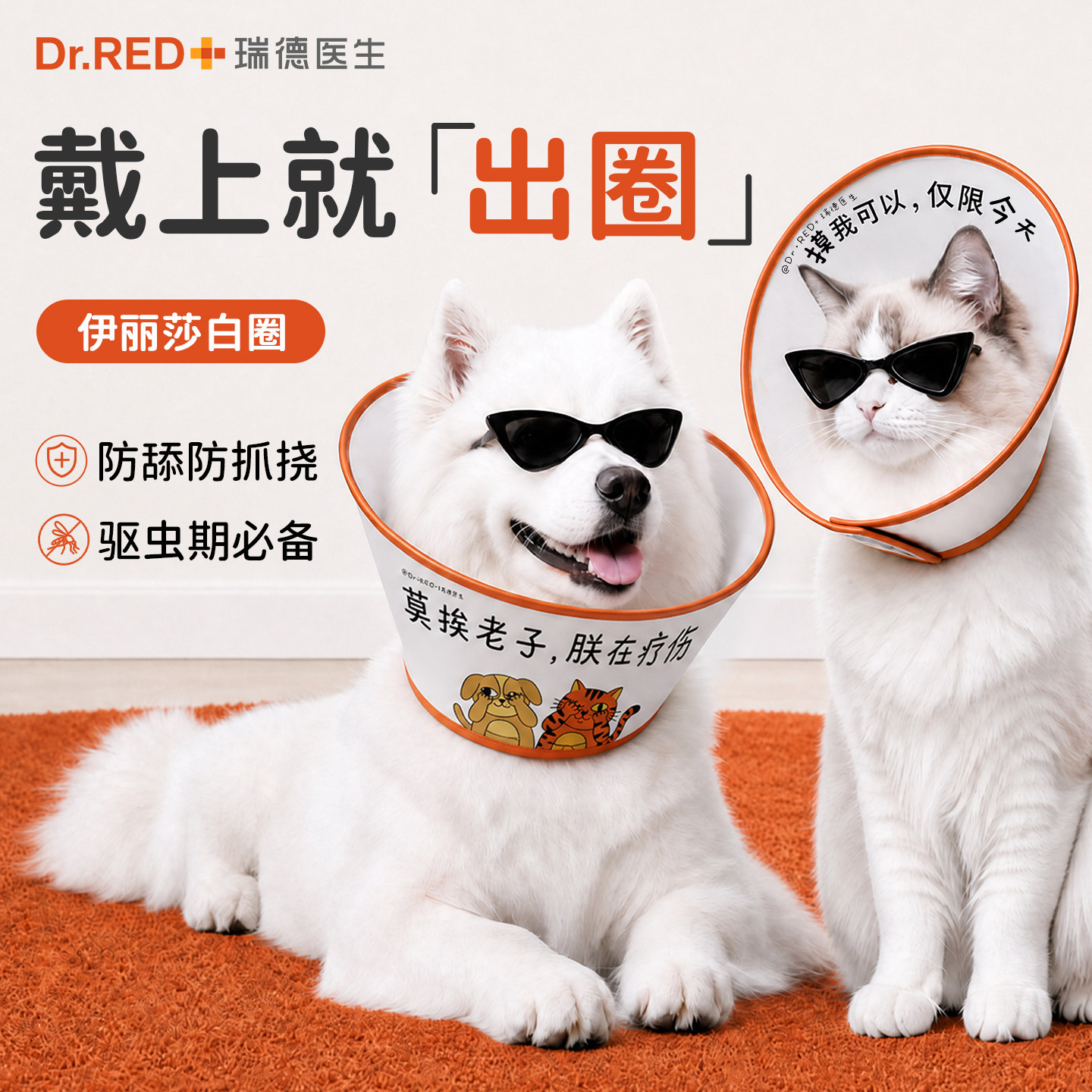 瑞德医生伊丽莎白圈猫狗防舔专用图片