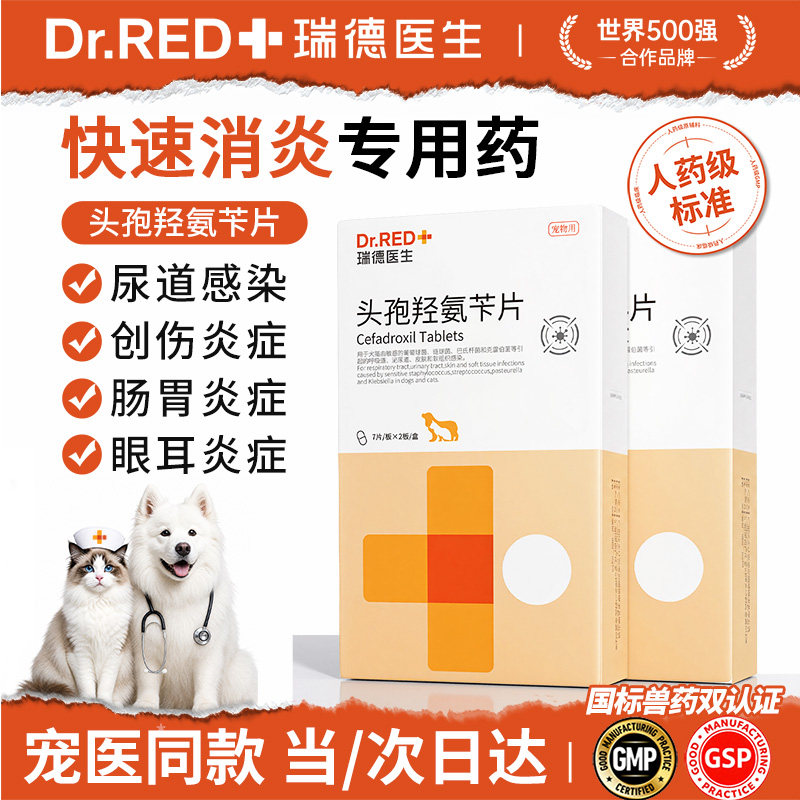 宠物头孢消炎药狗狗猫咪图片