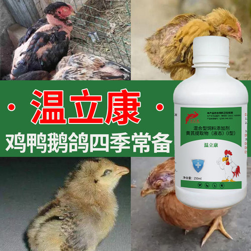 温立康鸡鸭鹅鸽感冒发烧添加剂