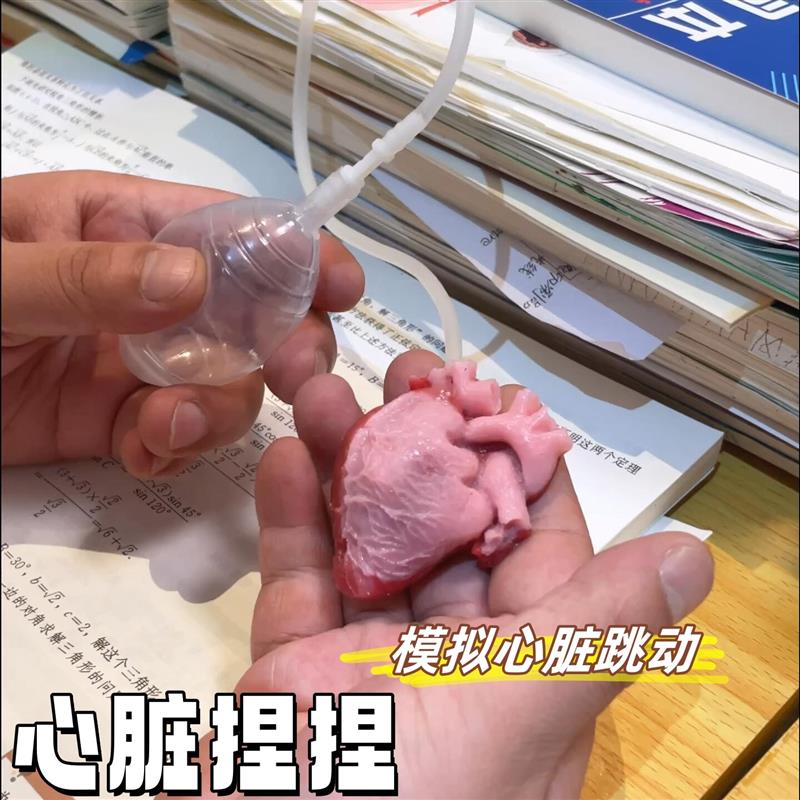 心脏捏捏乐模拟跳动泥感解压整蛊仿真吓人玩具按压跳动真实感道具