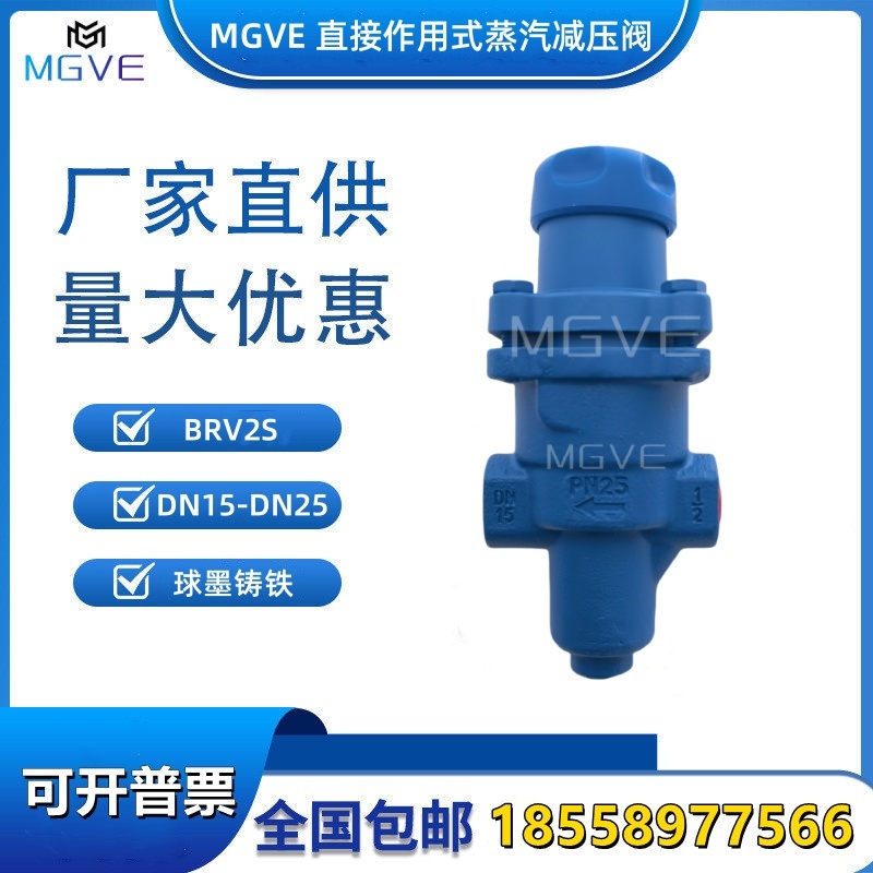 MGVE直接作用式蒸汽减压阀BRV2S