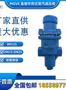 MGVE直接作用式蒸汽减压阀斯派莎克BRV2S DN15-25螺纹法兰绿橙灰