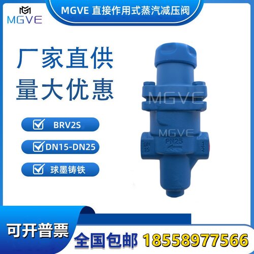MGVE直接作用式蒸汽减压阀BRV2S