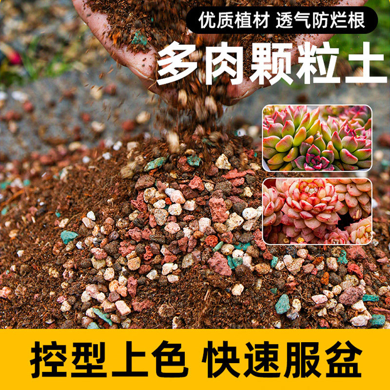 多肉颗粒土多肉土专用营养土壤种植土思威博花土盆栽纯颗粒铺面石