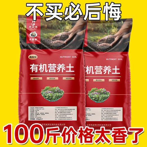 园艺达人推荐首选营养土