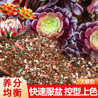 好用不贵的多肉颗粒土