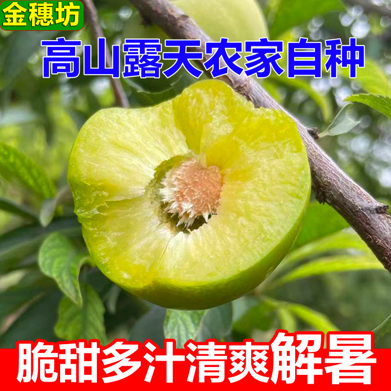重庆高山脱骨李脆甜多汁新鲜现摘