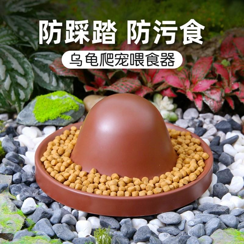乌龟爬宠喂食器防踩踏防污食遮阳防晒黄缘陆龟半水龟食盆水盆造景