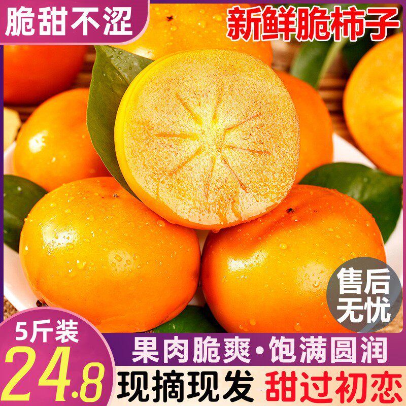 新鲜脆柿子 巧克力脆柿脆甜硬柿子水果生鲜水果高性价比高么？