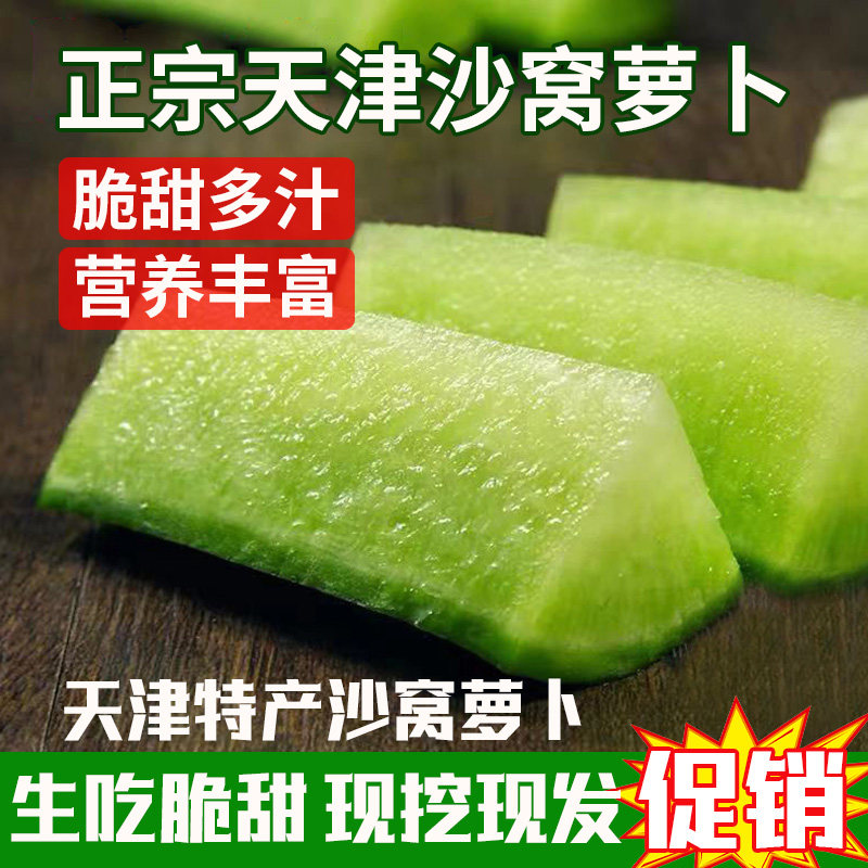 天津沙窝萝卜2025新季生吃脆萝卜/胡萝卜
